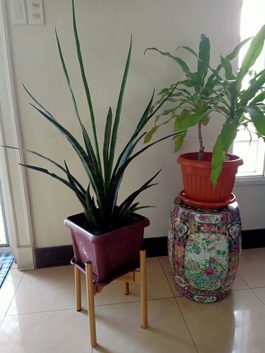 Review photo 1 by Fe C.