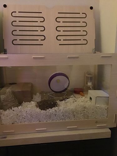 Customer photo review of Niteangel Bigger World MDF Terrarium Aspen Poplar Wooden Enclosure for Syrian and Dwarf Hamsters