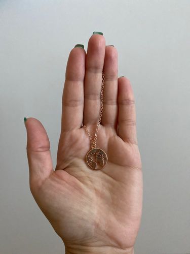 Customer photo review of Collier Carte Du Monde