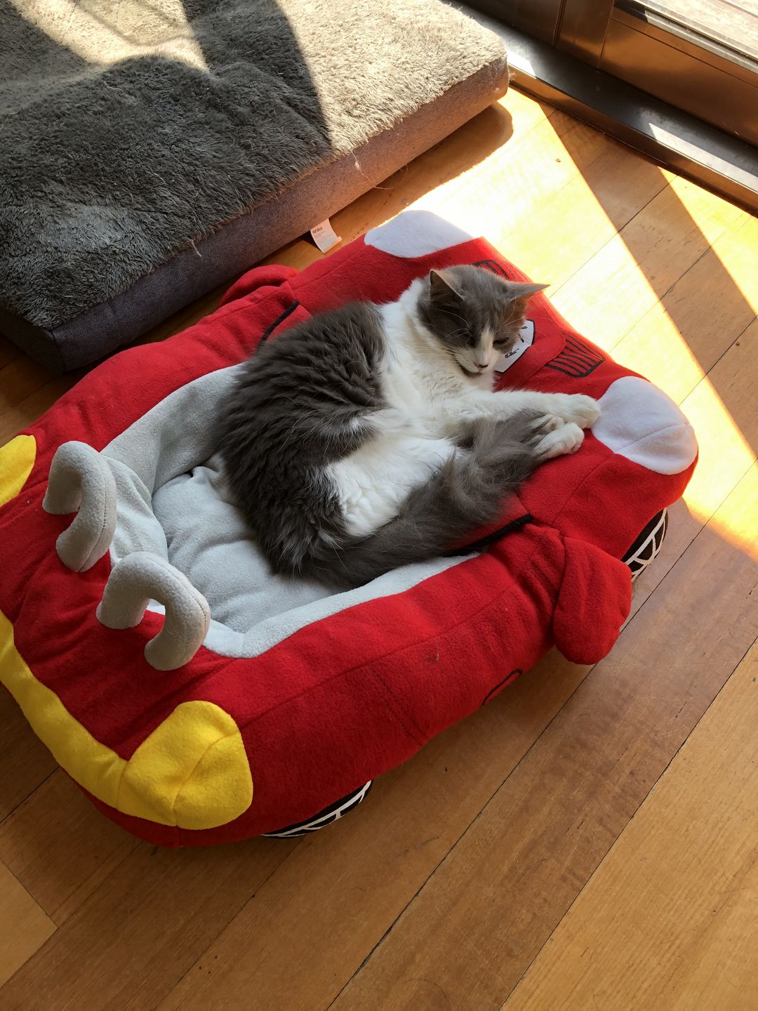 Customer photo review of Furcedes Sports Car Bed