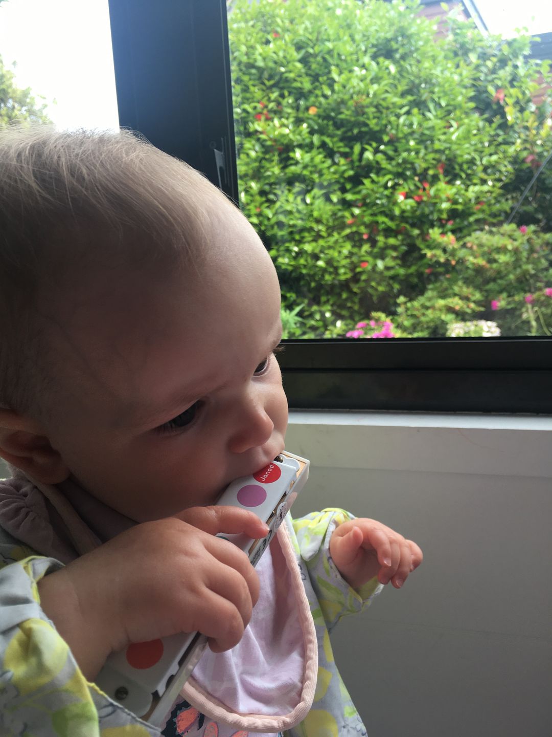 Customer photo review of Janod Confetti Harmonica