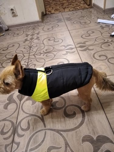 Customer photo review of Petyfy ™ Winter Jacket / Waterproof (Lifetime Warranty)