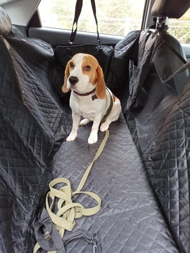 Customer photo review of Dog Car Seat Cover