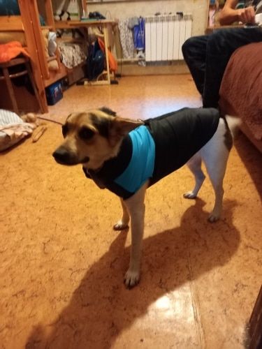 Customer photo review of Petyfy ™ Winter Jacket / Waterproof (Lifetime Warranty)