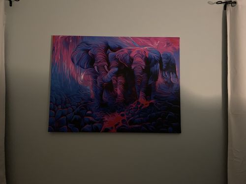 Customer photo review of Exodus Canvas Set