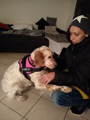 Customer photo review of Pfotenlove - Anti-Zug Personalisiertes Hundegeschirr – Premium Edition