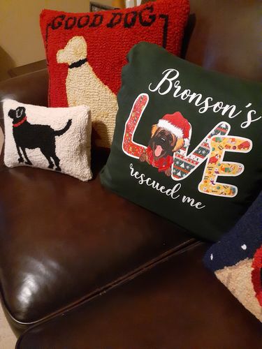 Customer photo review of Dog's Love Rescued Me - Personalized Custom Unisex T-Shirt