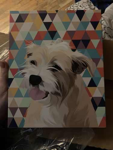 Customer photo review of Custom Wrapped PetCanva