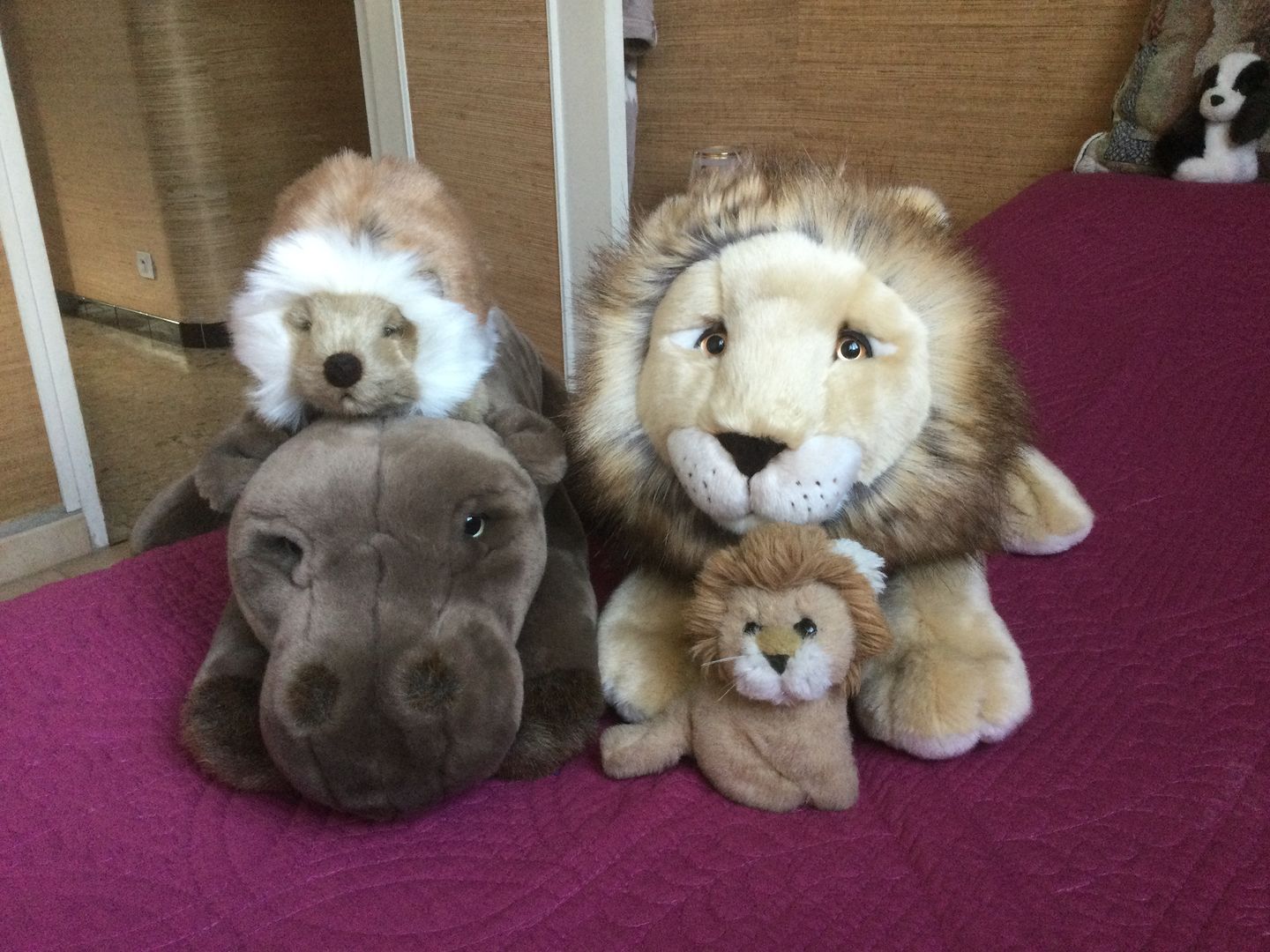Customer photo review of Ma peluche Hérisson Alfred