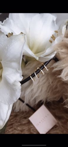 Customer photo review of Zirkonia Mini Creolen