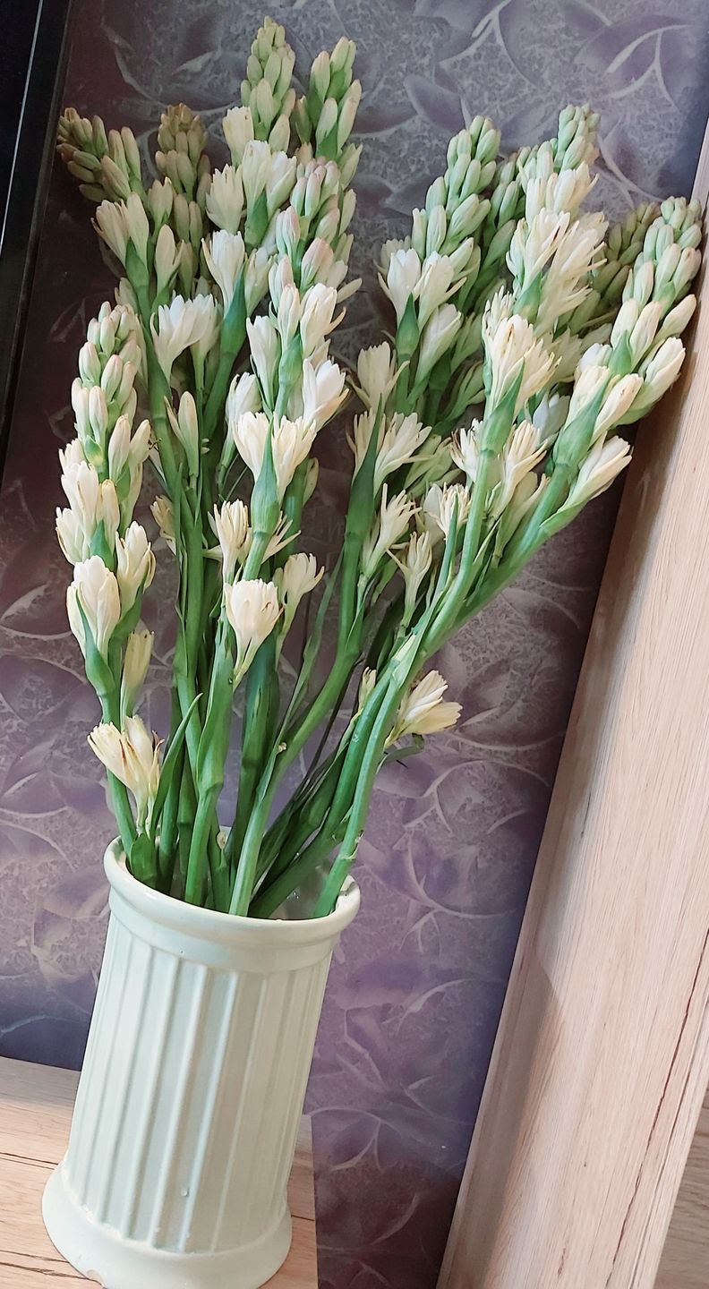 Customer photo review of Tube Roses "Rajnigandha" (Bunch of 10)