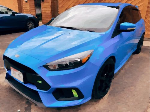 Customer photo review of Ford Focus RS MK3 Fog Light Armour