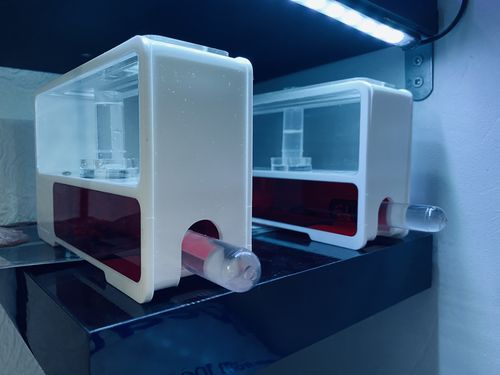 Customer photo review of AntKit AntHome Test Tube Formicarium
