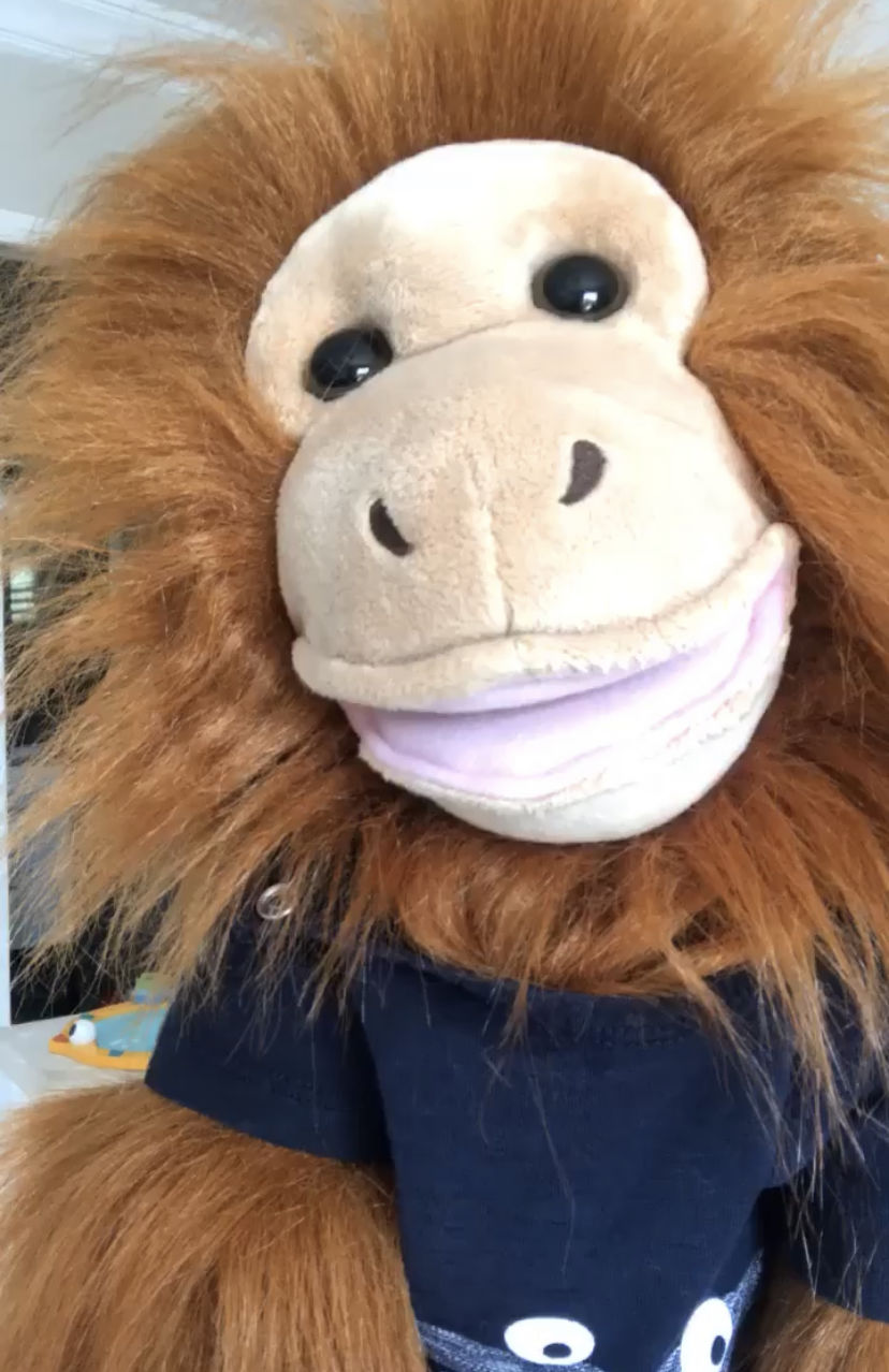 Customer photo review of Orang-Outan  Marionnette