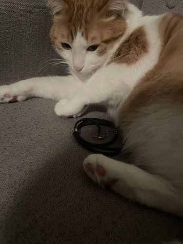 Customer photo review of Braided Bracelet with Custom Engraved Beads