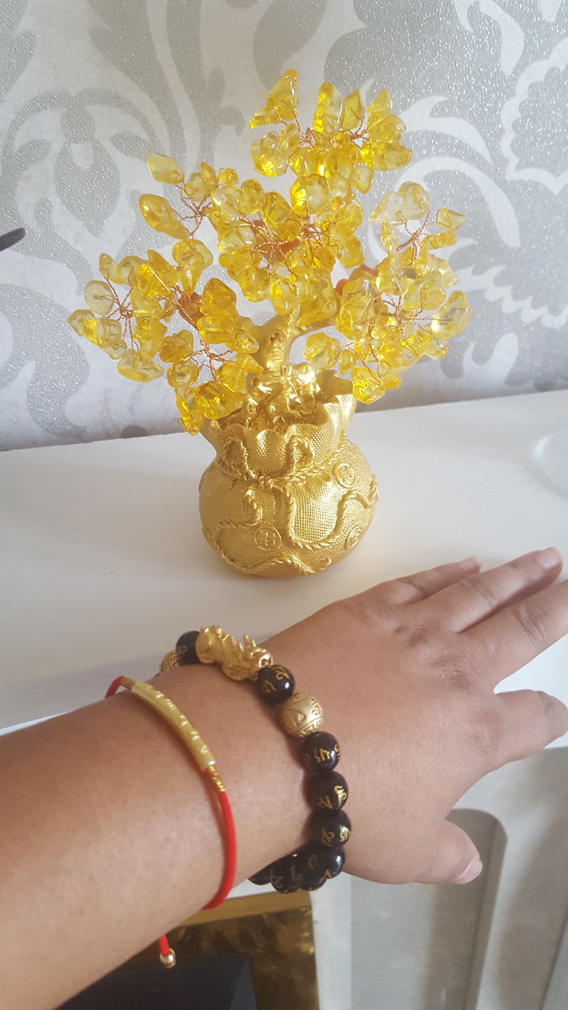 Customer photo review of Feng Shui Citrine Money Tree Wealth Ornaments