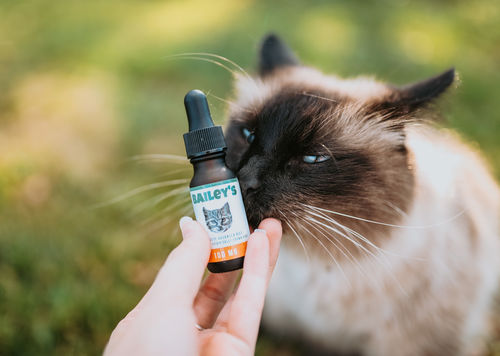Customer photo review of Bailey's Full Spectrum Hemp Oil For Cats w/ 100MG Naturally Occurring CBD
