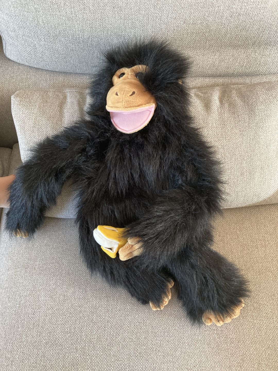 Customer photo review of Singe Marionnette