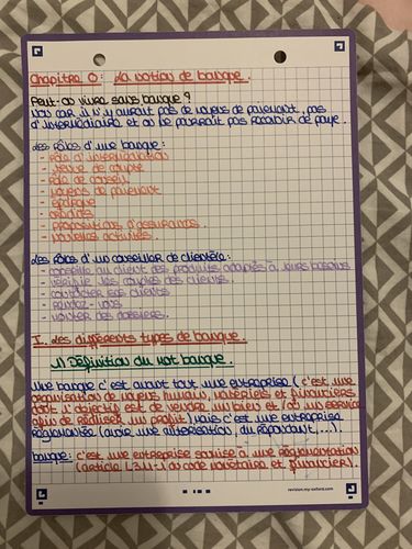 Avis photo d'un client sur Fiches de révision REVISION 2.0 OXFORD # 50 fiches 14,8 x 21 cm - petits carreaux
