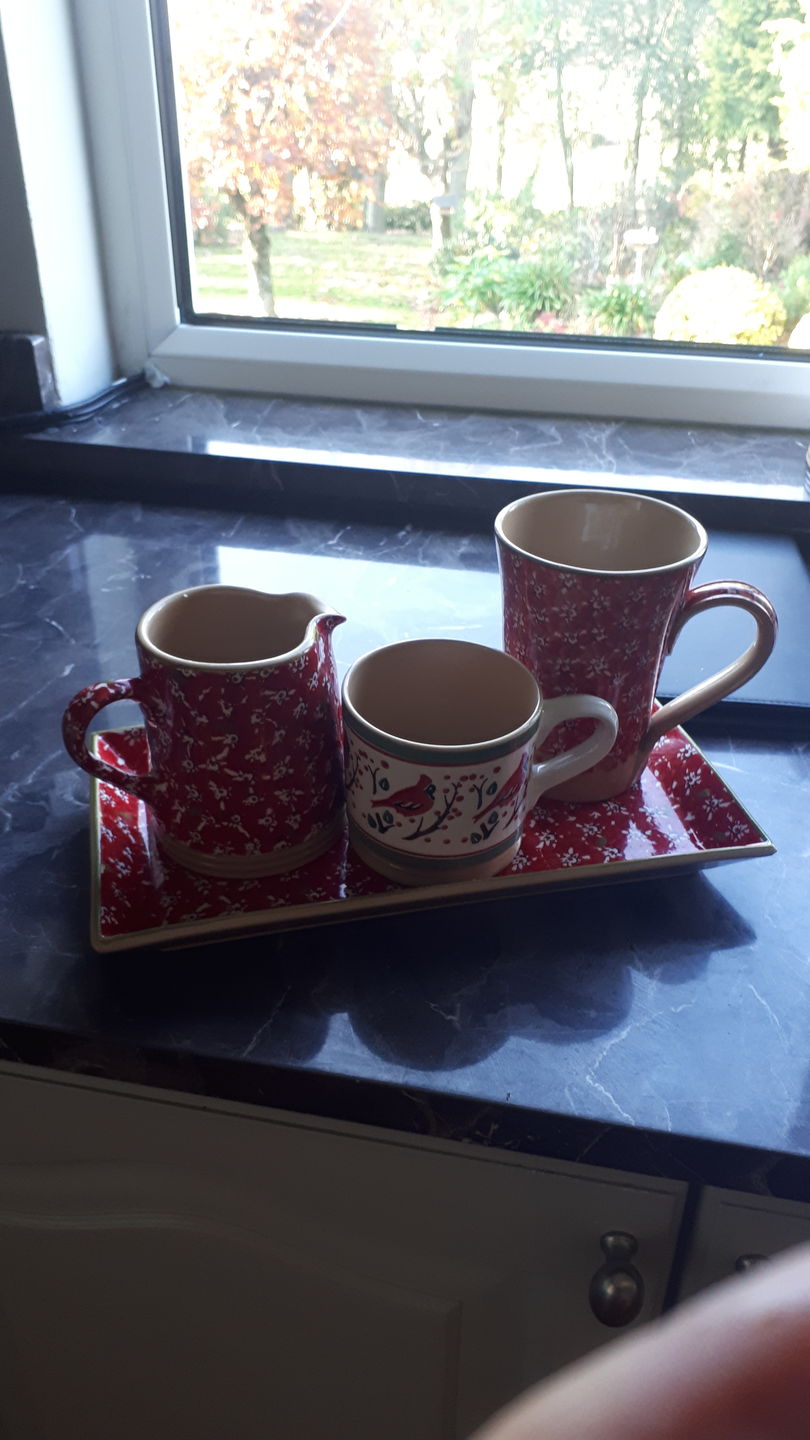 Customer photo review of Large Mug Berry Bird