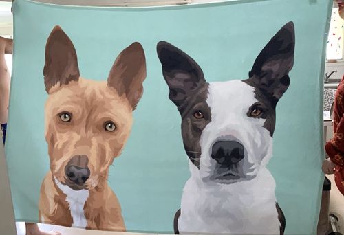 Customer photo review of Custom Pet Fleece Blanket