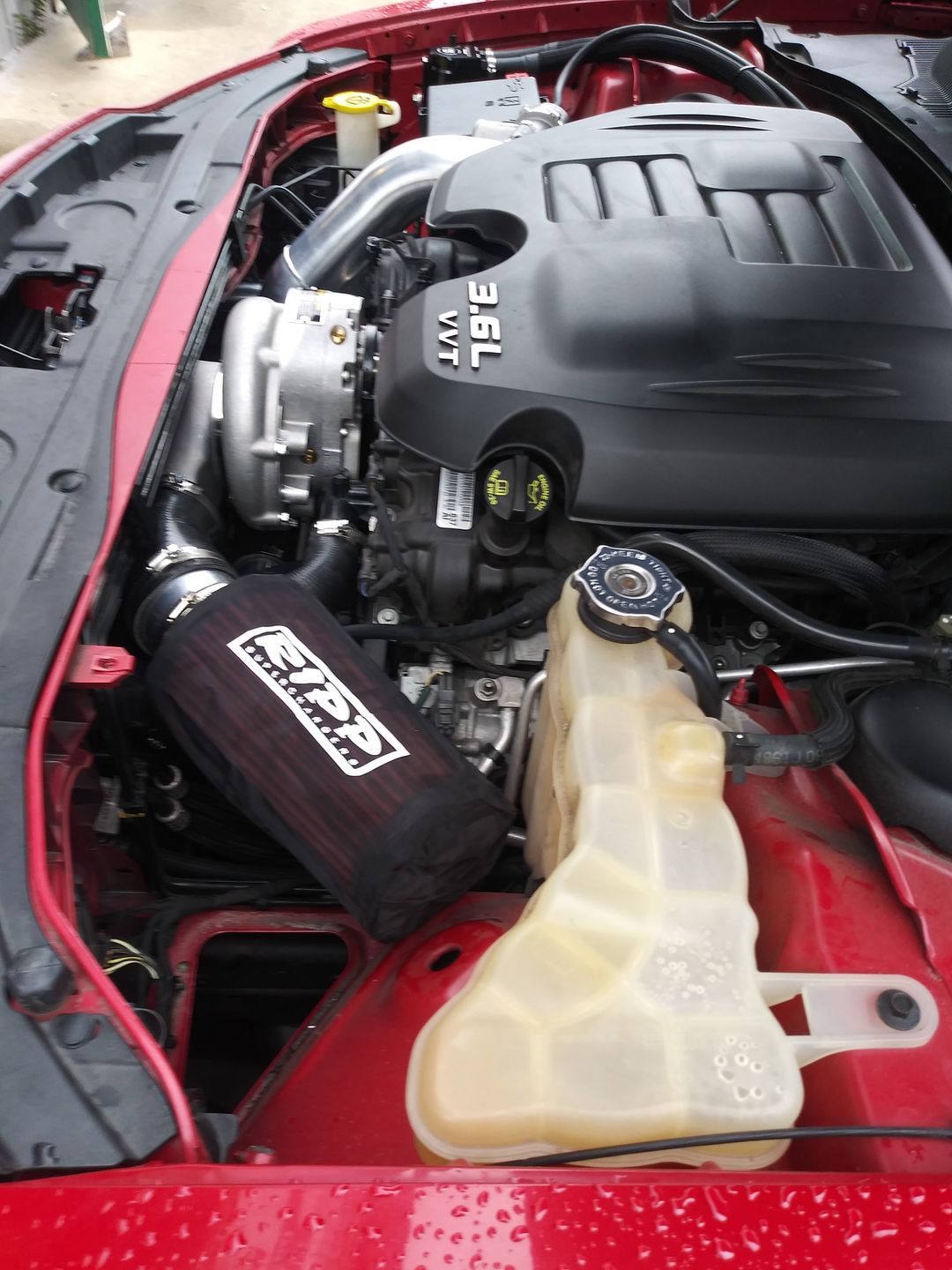 Customer photo review of Air Filter Sock for RIPP Supercharger Air Filters Water Proof