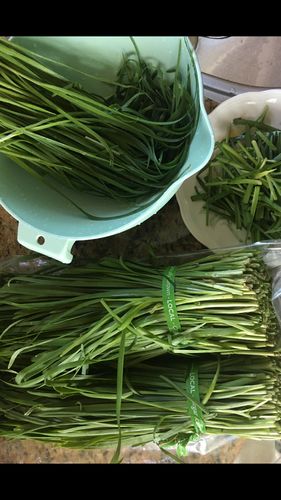 Customer photo review of [Galleria] Korean Chives 2bunches