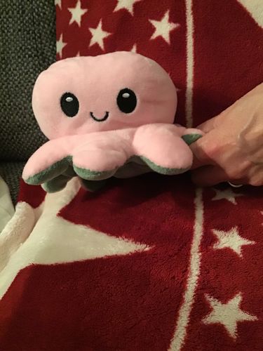 Customer photo review of Peluche octopus réversible