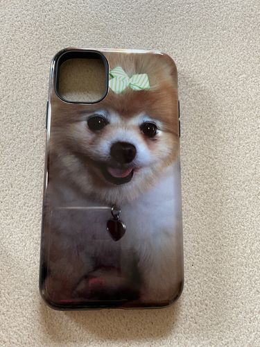 Customer photo review of iPhone 11