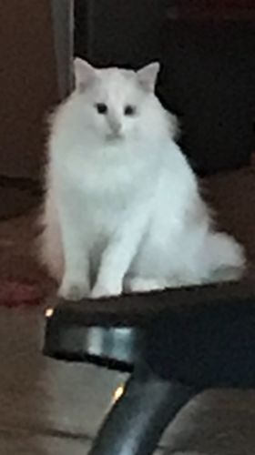 Customer photo review of Archivo Muerte en Arganzuela (Digital)