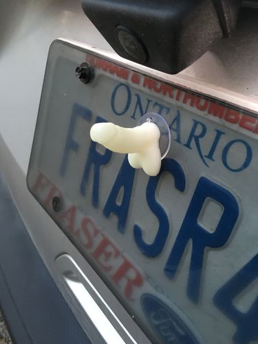 Customer photo review of Stickie Dickie - The Dick Sticking Prank!