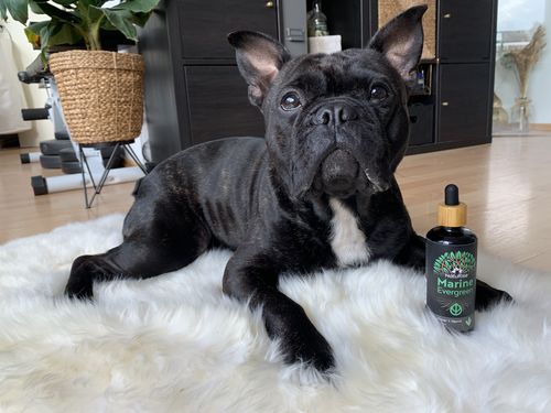 Customer photo review of Omega 3 Algenöl