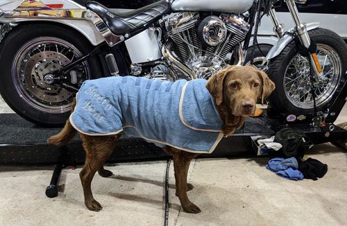 ruff and tumble dog coats reviews