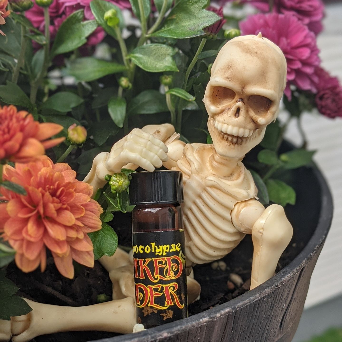 Customer photo review of Spiked Cider