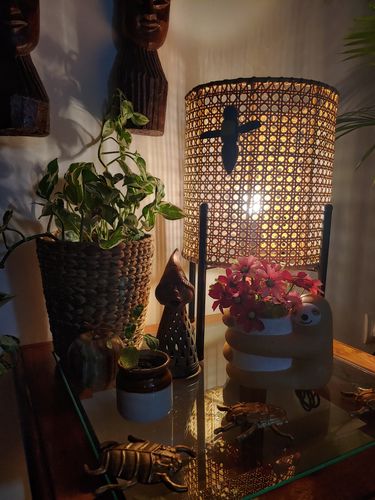 Customer photo review of Sloth Hugging Planter