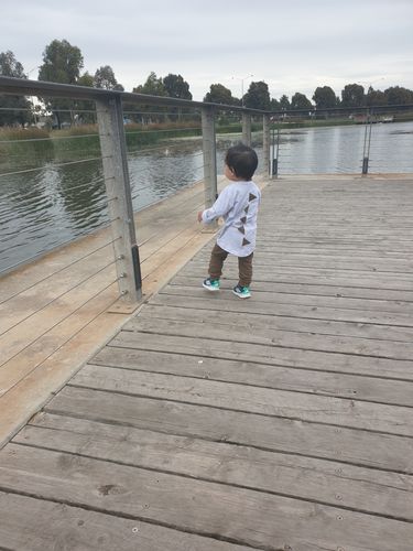 Customer photo review of Spikey Dino Sets | 2 Colours