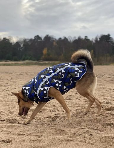 Customer photo review of Pfotenlove - Premium Hundewintermantel - Design Yellow Edition