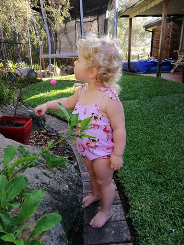Customer photo review of Pink Pug Frill Romper