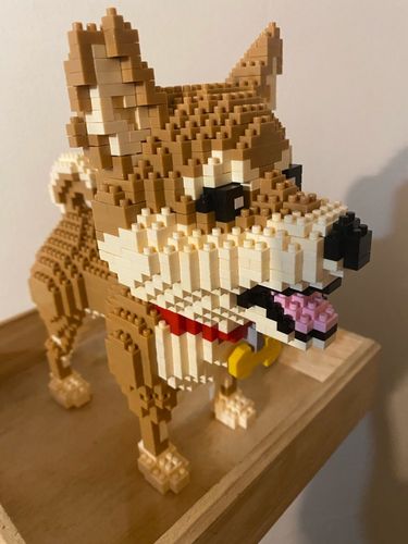 Customer photo review of Shiba Inu 3d Model Block Brick Toy