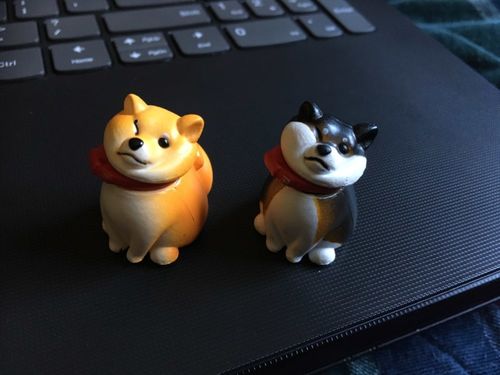Customer photo review of Shiba Inu Ornament