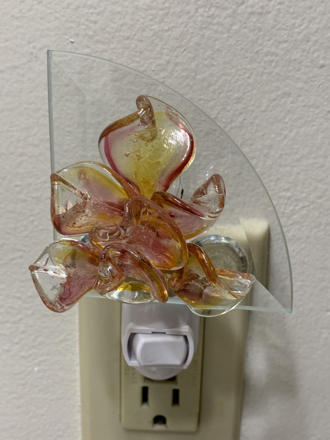 Customer photo review of Memorial Nightlight Flower with Cremation Ash