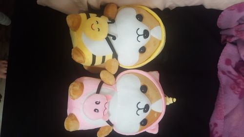 Customer photo review of Shiba Squad