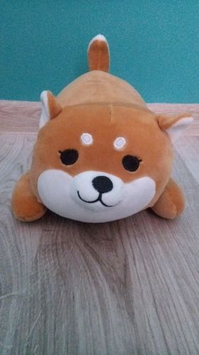 Customer photo review of Kawaii Shiba Inu Plush