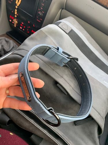 Customer photo review of Personalized Shiba Collar and Leash