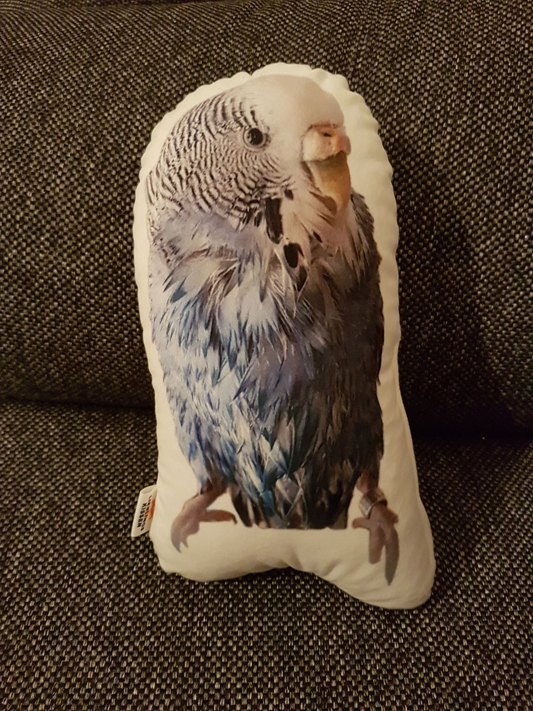 Customer photo review of Individuelles Vogelkissen