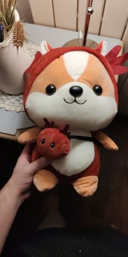 Customer photo review of Shiba Squad