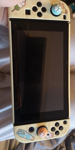 Customer photo review of Shiba Inu Switch Lite Case