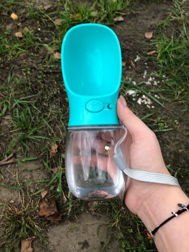 Customer photo review of Shiba Inu Water Bottle