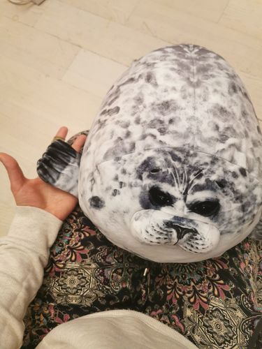 Customer photo review of Henry the Chonky Seal Pillow