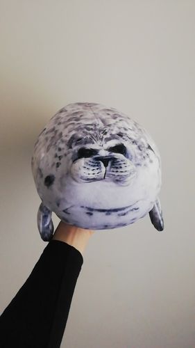 Customer photo review of Henry the Chonky Seal Pillow